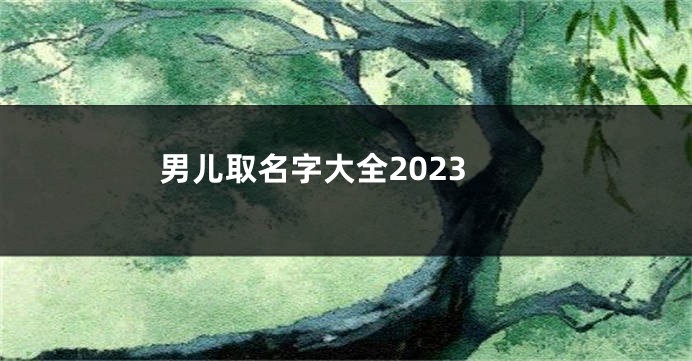 男儿取名字大全2023