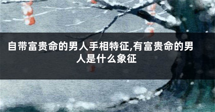 自带富贵命的男人手相特征,有富贵命的男人是什么象征