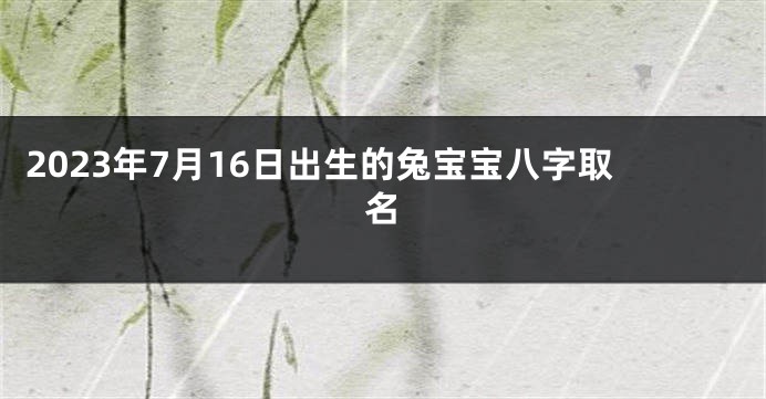 2023年7月16日出生的兔宝宝八字取名