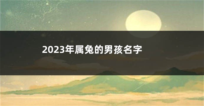 2023年属兔的男孩名字