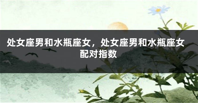 处女座男和水瓶座女，处女座男和水瓶座女配对指数