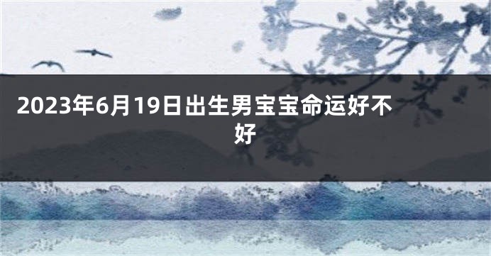 2023年6月19日出生男宝宝命运好不好