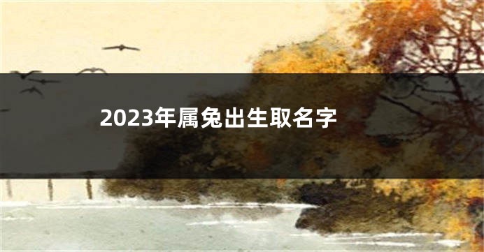 2023年属兔出生取名字
