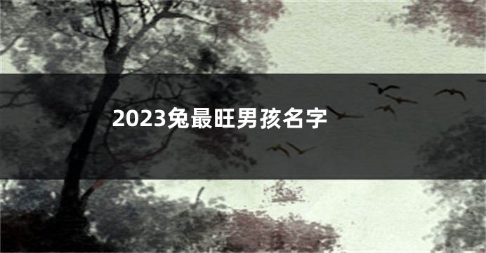 2023兔最旺男孩名字