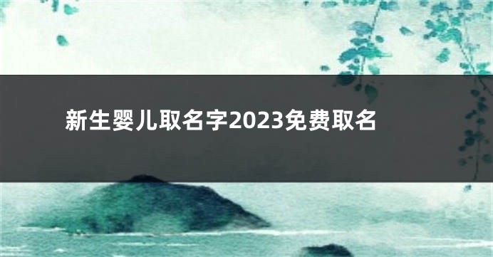 新生婴儿取名字2023免费取名