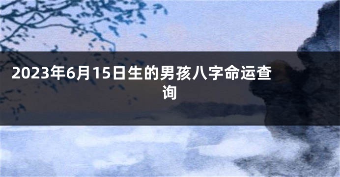 2023年6月15日生的男孩八字命运查询