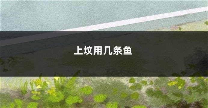上坟用几条鱼