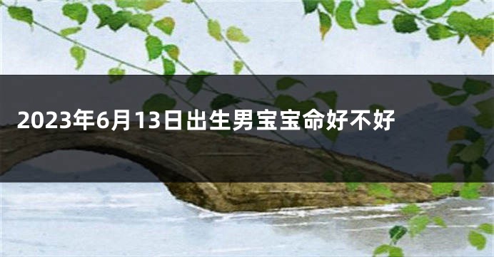 2023年6月13日出生男宝宝命好不好