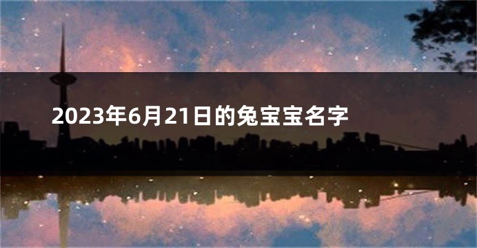 2023年6月21日的兔宝宝名字