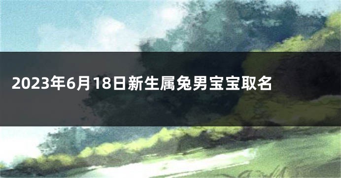 2023年6月18日新生属兔男宝宝取名