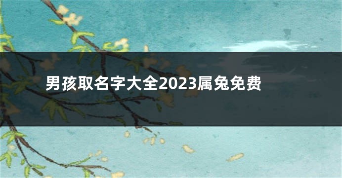 男孩取名字大全2023属兔免费