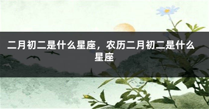 二月初二是什么星座，农历二月初二是什么星座