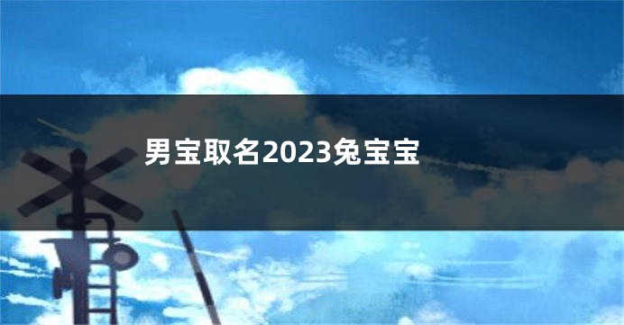 男宝取名2023兔宝宝