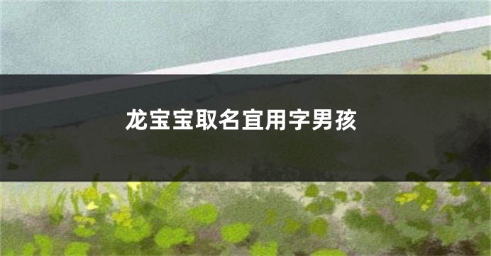 龙宝宝取名宜用字男孩
