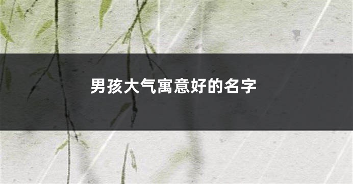 男孩大气寓意好的名字