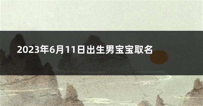 2023年6月11日出生男宝宝取名