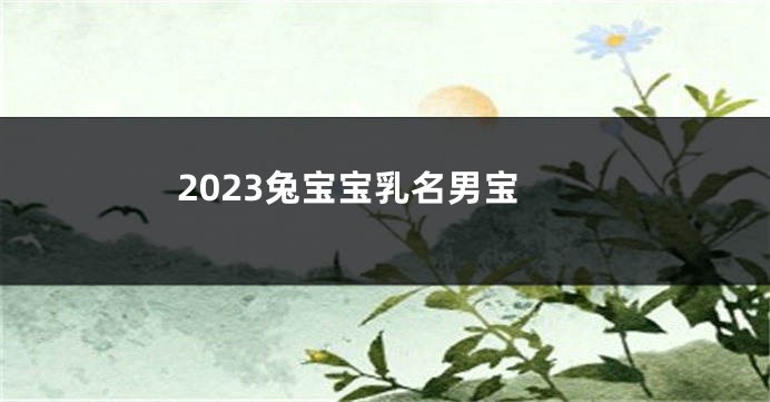 2023兔宝宝乳名男宝