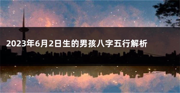 2023年6月2日生的男孩八字五行解析