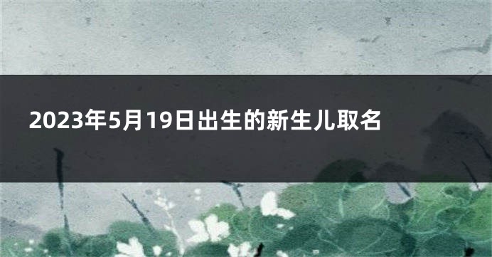 2023年5月19日出生的新生儿取名