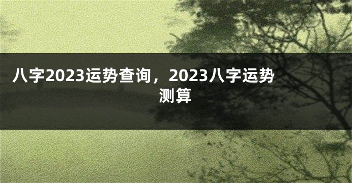 八字2023运势查询，2023八字运势测算