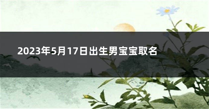 2023年5月17日出生男宝宝取名
