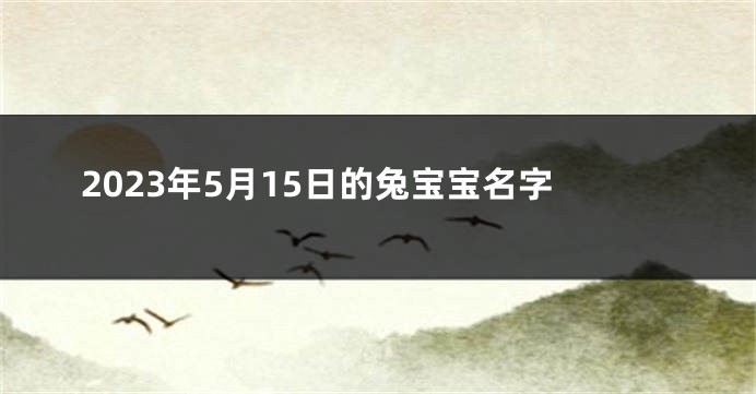 2023年5月15日的兔宝宝名字