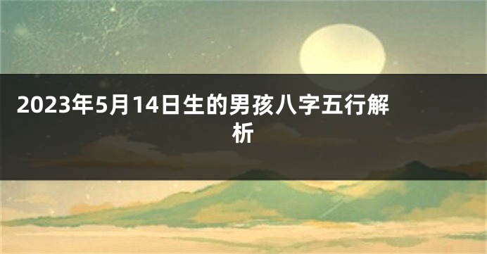 2023年5月14日生的男孩八字五行解析