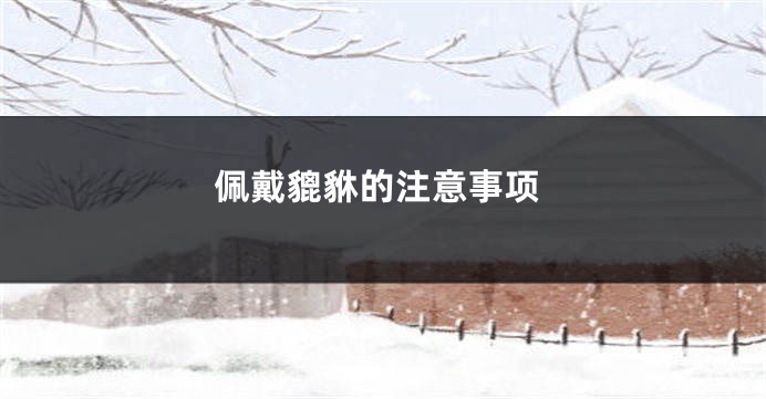 佩戴貔貅的注意事项