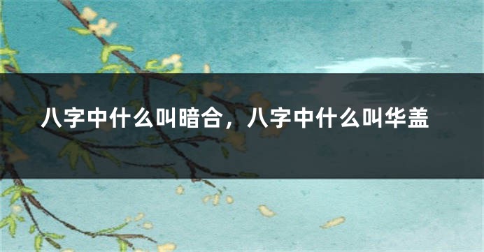 八字中什么叫暗合，八字中什么叫华盖