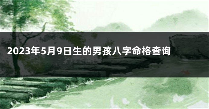 2023年5月9日生的男孩八字命格查询