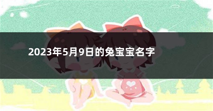 2023年5月9日的兔宝宝名字