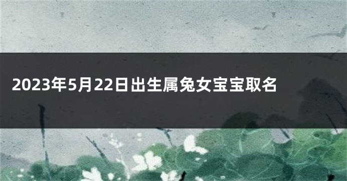 2023年5月22日出生属兔女宝宝取名