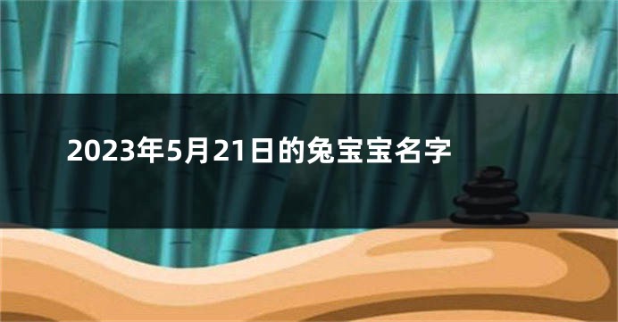 2023年5月21日的兔宝宝名字