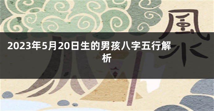 2023年5月20日生的男孩八字五行解析