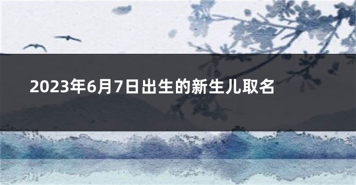 2023年6月7日出生的新生儿取名