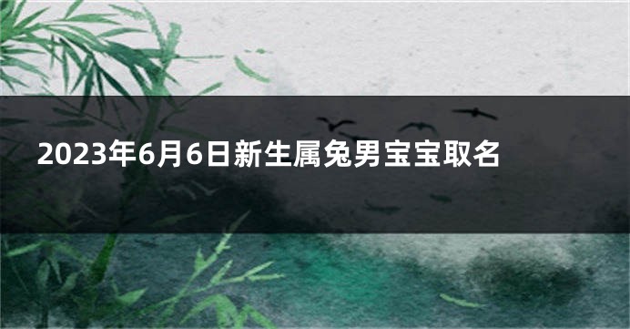 2023年6月6日新生属兔男宝宝取名