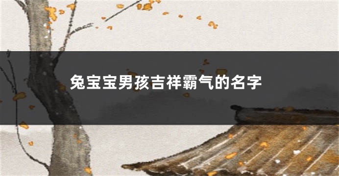 兔宝宝男孩吉祥霸气的名字