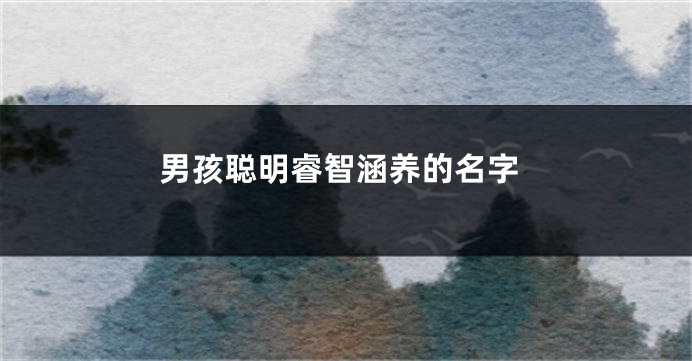 男孩聪明睿智涵养的名字