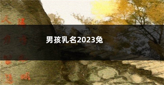 男孩乳名2023兔