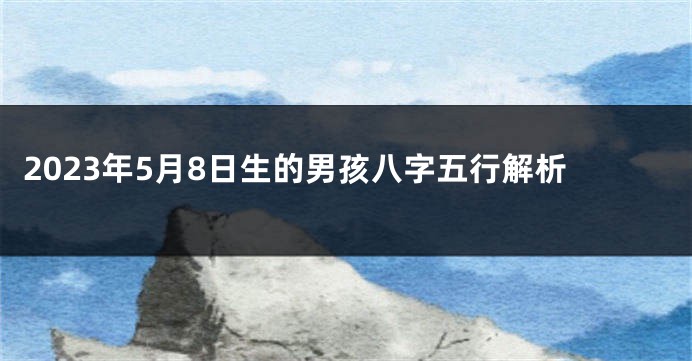 2023年5月8日生的男孩八字五行解析