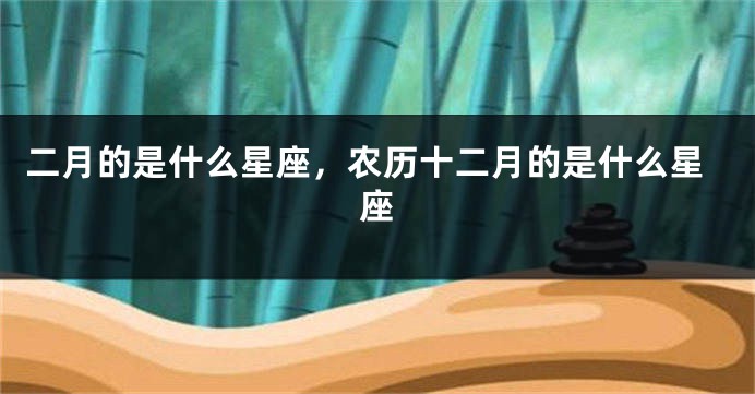 二月的是什么星座，农历十二月的是什么星座