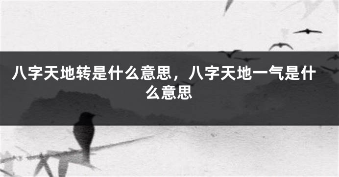八字天地转是什么意思，八字天地一气是什么意思