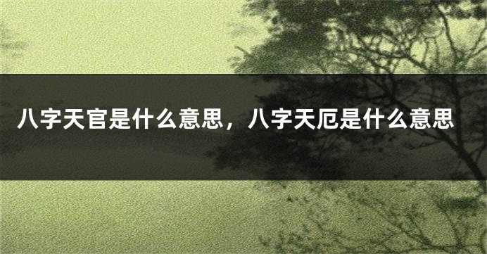 八字天官是什么意思，八字天厄是什么意思