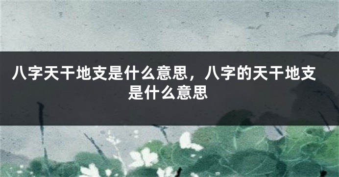 八字天干地支是什么意思，八字的天干地支是什么意思