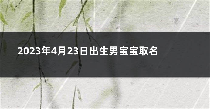 2023年4月23日出生男宝宝取名