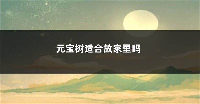 元宝树适合放家里吗