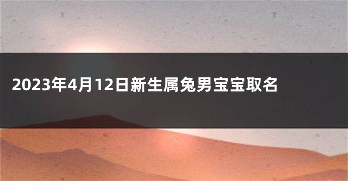 2023年4月12日新生属兔男宝宝取名