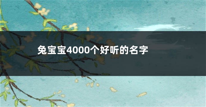 兔宝宝4000个好听的名字