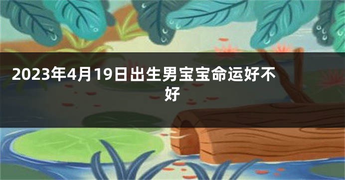 2023年4月19日出生男宝宝命运好不好