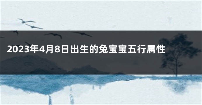 2023年4月8日出生的兔宝宝五行属性